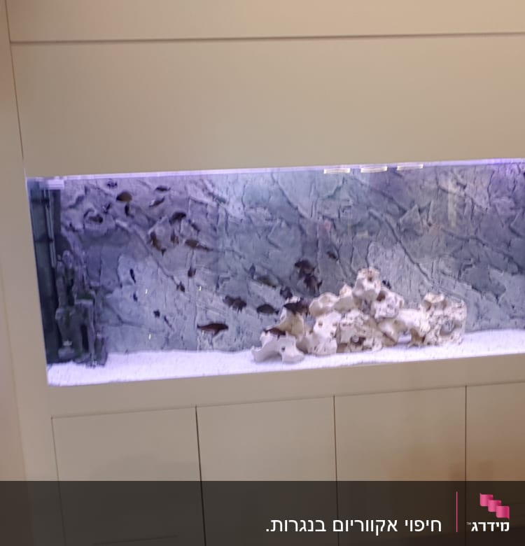 אקווריום מובנה בקיר עם דלתות אחסון מתחת
